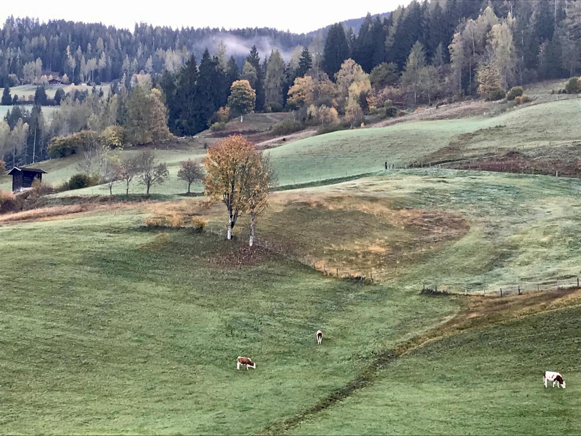 Bio Schartenhof 蓬高圣约翰 外观 照片